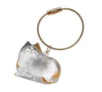 Contenedor de memoria para el pelo, para mascotas para viajes, PVC transparente con estilo portátil, soporte de recuerdo de condolencias, accesorio de entierro al aire libre, almacenamiento