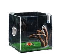 Contenedor de vidrio para reptiles - Hábitat de araña acrílico, caja de presentación transparente | Terrario de animales pequeños de 360 grados, recinto de visualización transparente duradero con ta