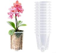 Contenedor transparente para orquídeas con guía de raíces, construcción de resina gruesa, rejillas laterales e inferiores para flujo de aire interior, incluye bandeja, 10 x 7,5 x 12 cm, juego de 12