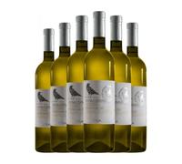 Contesa di Rocco Pasetti Pecorino Colli Aprutini 75 cl Vino blanco (Caja de 6 Botellas de 75 cl)