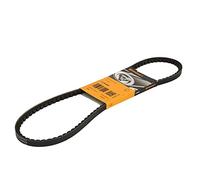 ContiTech Correa trapezoidal nervada 11,9 x 925ld