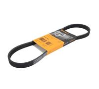 Continental Contitech 5pk800 correa trapezoidal en V mœltiple
