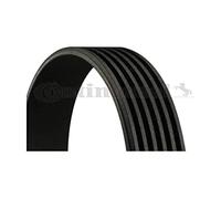 Continental Contitech 6pk780 Elast - Correa trapezoidal en V múltiple