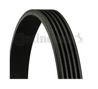 Continental CTAM 5PK2060 Correa De Distribución Para BMW E46 E39 E38 E53