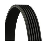 Continental CTAM 6PK1212 EXTRA Correa De Poly V Para Renault Espace V Kadjar
