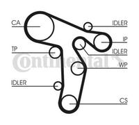 CONTINENTAL CTAM Bomba de Agua + Dentadas para VW Passat Toda la Pista 365 3C5