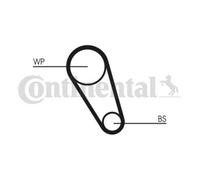 CONTINENTAL CTAM Bomba de Agua + Kit Correa de Distribución para VW Golf VII 5G1