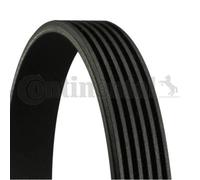 CONTINENTAL CTAM Correa De Poli V Para Audi A6 Allroad VW Touareg Voyager I