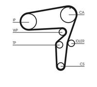 Continental Ctam CT1076K2 Dentadas para Alfa Romeo 156 Lancia Tesis