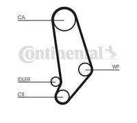 Continental Ctam CT539 Dentada Trasero Derecha para Audi Quattro 80 90 100 200