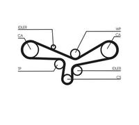 Continental Ctam CT920K3 Kit Correa de Distribución para VW Phaeton Audi A8