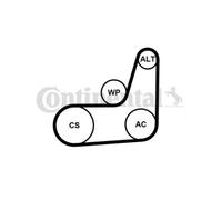 CONTINENTAL CTAM Set Correa Poli V para Ford Fiesta VI Focus III Familiar