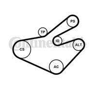 CONTINENTAL CTAM Set Correa Poli V para Opel Vivaro Caja F7 Movano F9 X70