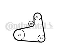 CONTINENTAL CTAM Set Correa Poli V para VW Caddy II Caja 9K9A 9K9B 6KV2
