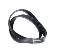 Continental en Contitech - Un 6pk842 elast aletas - Correa trapezoidal