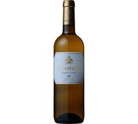 Contino Blanco 2020 - CVNE