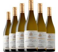 Contino Blanco, vino blanco con crianza que destaca por su frescura, equilibrio y complejidad aromática, ideal para disfrutar con platos elaborados| 6 botellas