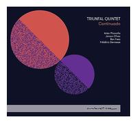 Continuado. Œuvres de Piazzolla, D'hoe, Faes, Devreese. Triunfal Quintet.