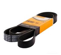 Correa poly V CONTINENTAL 4PK924 ELAST