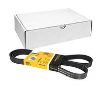 ContiTech Correa Poly-V 6PK1432 correa trapezoidal nervada