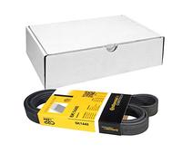 Correa poly V CONTINENTAL 6PK1448