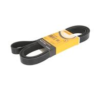 Contitech Ð 7PK2682 correa trapecial en V mœltiple