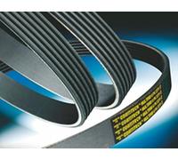Contitech 10pk1075 Correa Poli