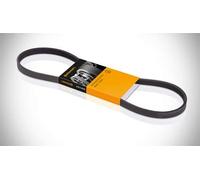 CONTITECH 10PK1580 Correa trapecial poli V