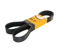 Correa poly V CONTINENTAL 10PK1590