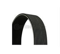 CONTITECH 10PK1705 Correa trapecial poli V