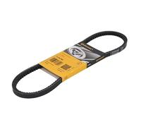 Correa poly V CONTINENTAL 11,5X755Ld