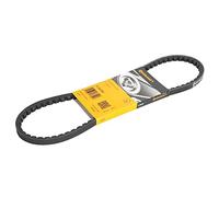 CONTITECH 62506 correa trapezoidal en V