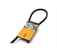 CONTITECH 2XAVX13X1050 Juego de correas trapezoidales Correa Trapecial