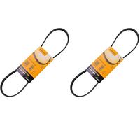 CONTITECH 4PK850ELAST CORREA (Paquete de 2)