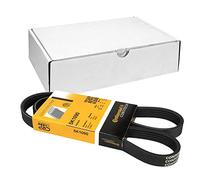 Correa poly V CONTINENTAL 5PK1090