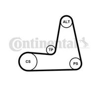 CONTITECH 5pk1110 K1 Kit correa Multi V Continental