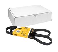 ContiTech Correa trapezoidal poli V 5PK1295 nervada para Alfa Romeo 164