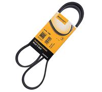 ContiTech Correa Poly-V 5PK1300