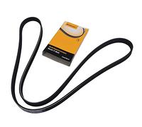 CONTITECH 5PK1546 Correa