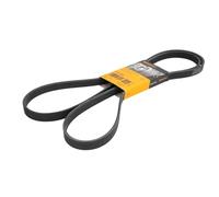 Correa trapezoidal acanalada 5PK2060 CONTINENTAL CTAM para BMW 7 5 5 Touring X5