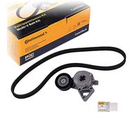 Contitech - 6dpk1195 K1 correa de distribución