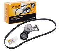 Contitech - 6dpk1195 K2 correa de distribución