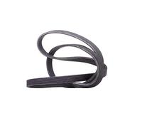 Contitech - Correa trapecial en V múltiple, 6DPK1853