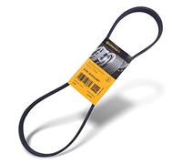 ContiTech Correa poli V 6PK1019 ELAST para Ford Fiesta, C-Max, Focus, Fusion, Ka, B-Max y Mazda 2