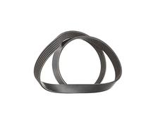 ContiTech Correa trapezoidal poli V 6PK1073 EXTRA para DS, Peugeot y Opel