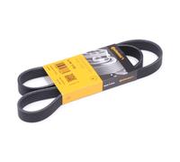 CONTITECH 6PK1138 Correa trapecial poli V