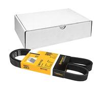 ContiTech Correa poly V 6PK1153 trapezoidal nervada