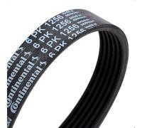 ContiTech Correa trapezoidal nervada 6PK1256 para FORD y HYUNDAI