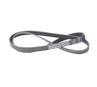 CONTITECH 6PK1460 Correa