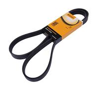 Contitech 6PK1555 Correa